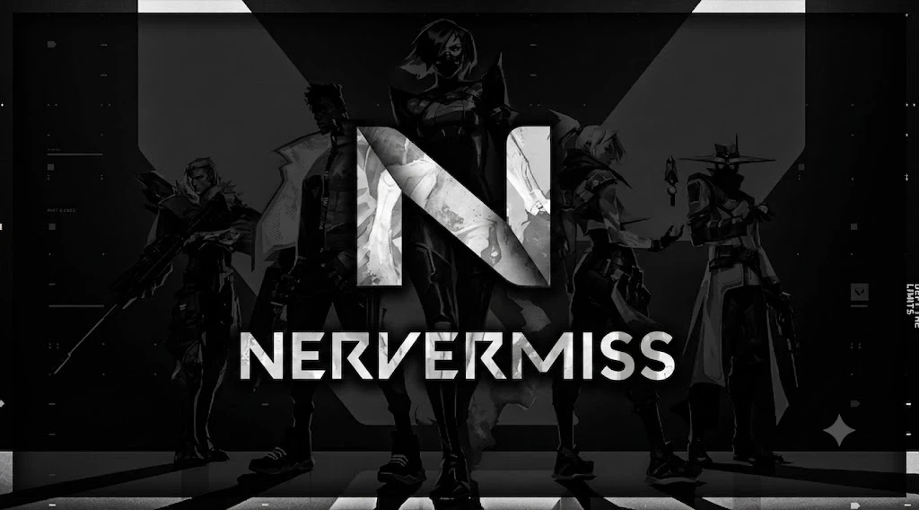 Nevermiss Aim Color